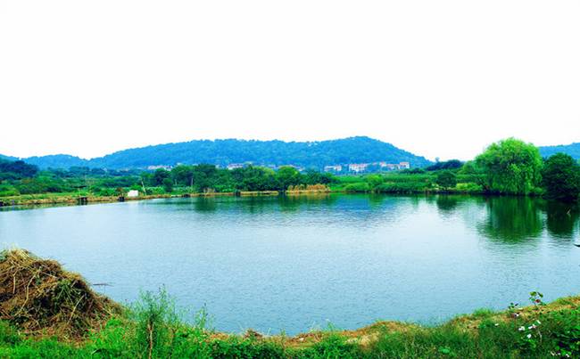 蔡甸后官湖绿道