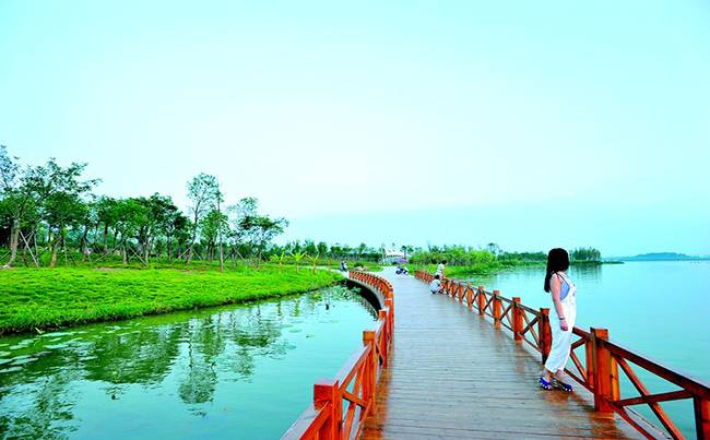 蔡甸后官湖绿道