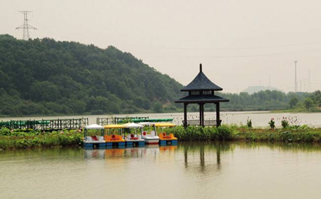 武汉蔡甸金龙水寨度假村