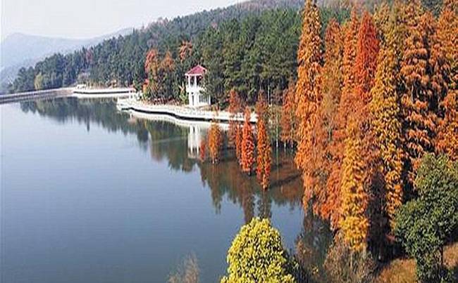 蔡甸九真山拓展基地