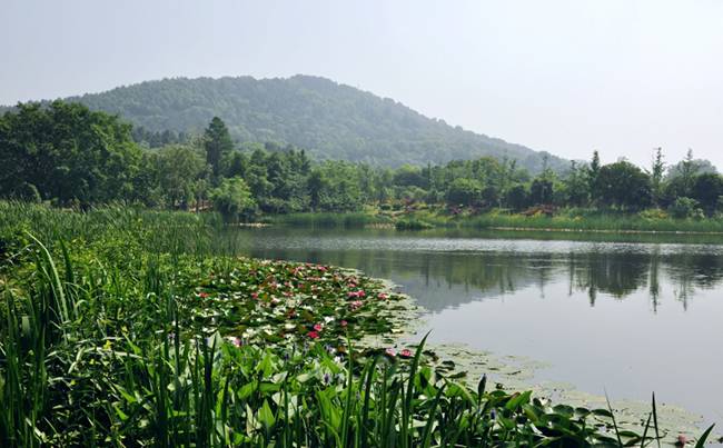 马鞍山森林公园