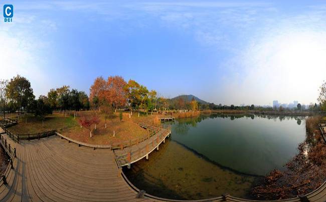 马鞍山森林公园