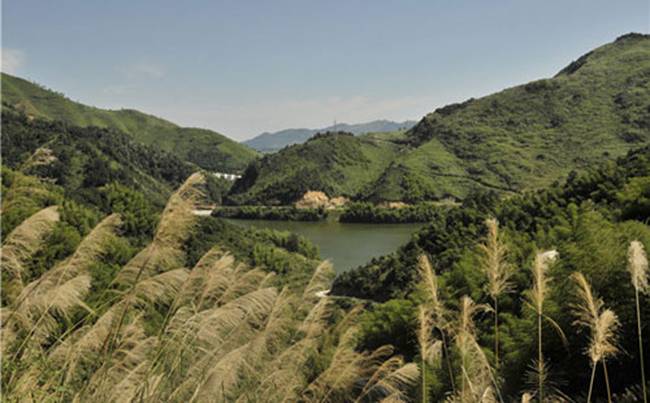 黄石大冶龙凤山生态园度假村拓展基地