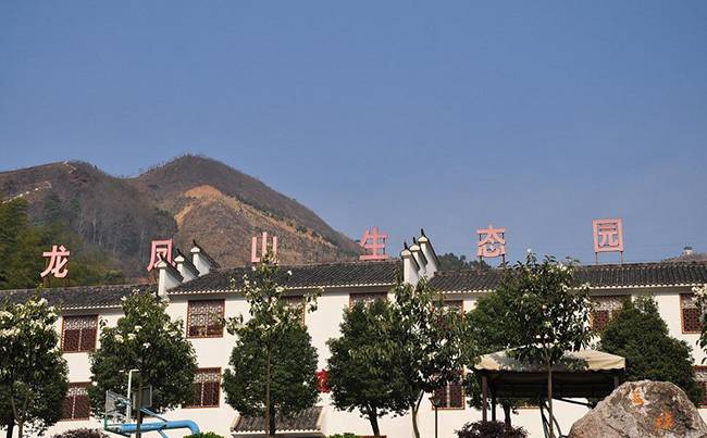 黄石大冶龙凤山生态园度假村拓展基地