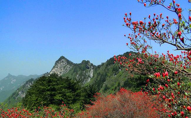 湖北麻城龟峰山拓展基地