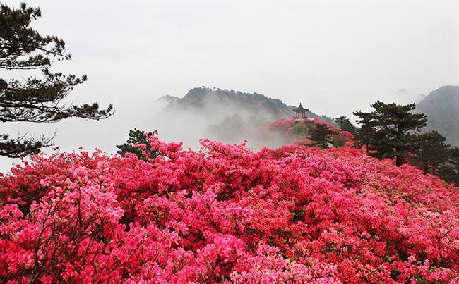 湖北麻城龟峰山拓展基地