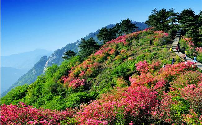 湖北麻城龟峰山拓展基地