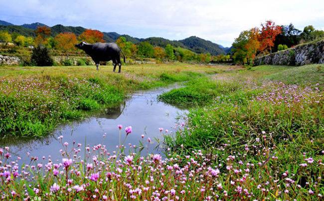 罗田天堂寨旅游景区拓展基地