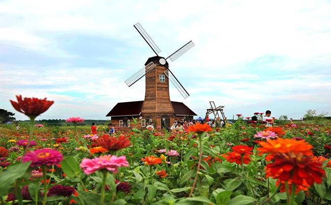 襄阳普罗旺斯薰衣草庄园