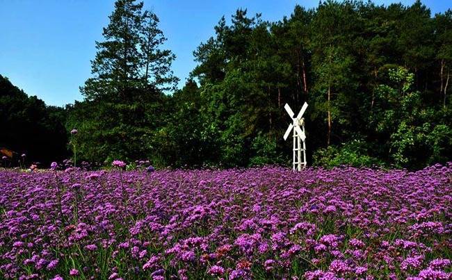 襄樊隆中植物园拓展基地