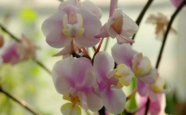 襄樊隆中植物园拓展基地