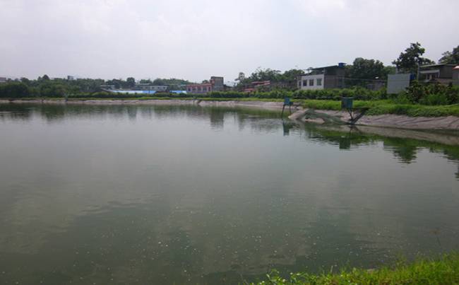 洪湖市星河湾农庄拓展基地