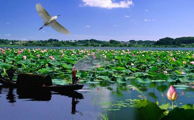荆州洪湖蓝田生态园拓展基地