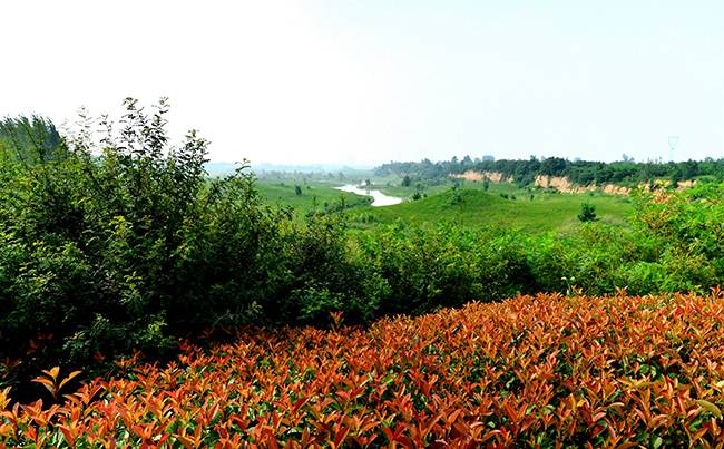 白鹿春养生科普生态园拓展基地