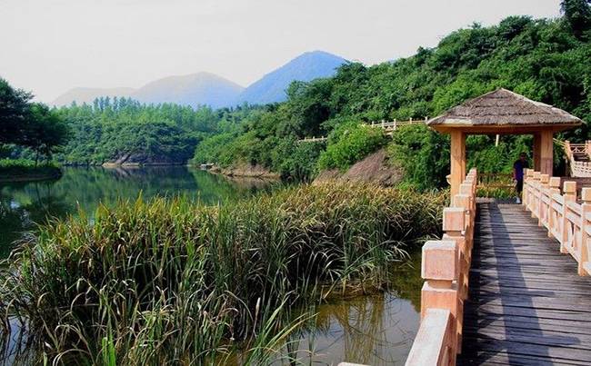 京山绿林寨拓展基地