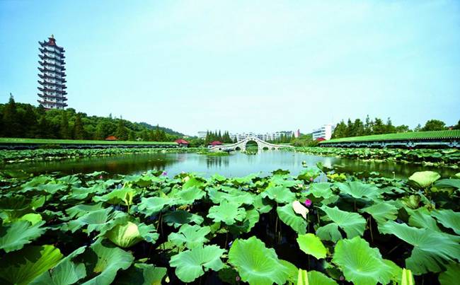 鄂州莲花山景区