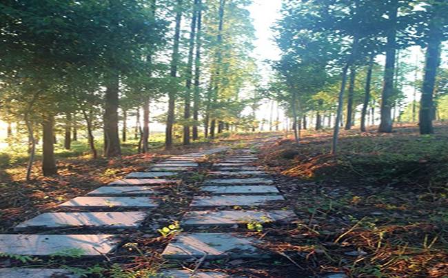 潜江田关水利休闲度假区