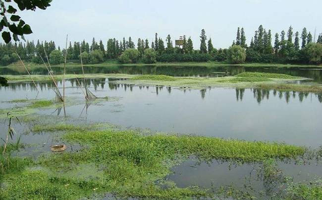 仙桃排湖拓展基地