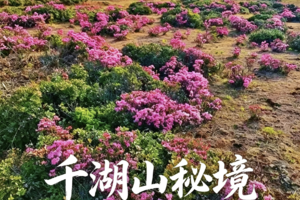 【独家新线●千湖山秘境】6月6-14日打卡《无极》《司藤》拍摄地，全年仅限1000人进入