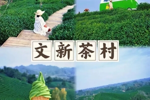 【五一-河南】5.2-3号鸡公山+文新茶园+星宿川沙滩营地 2日游