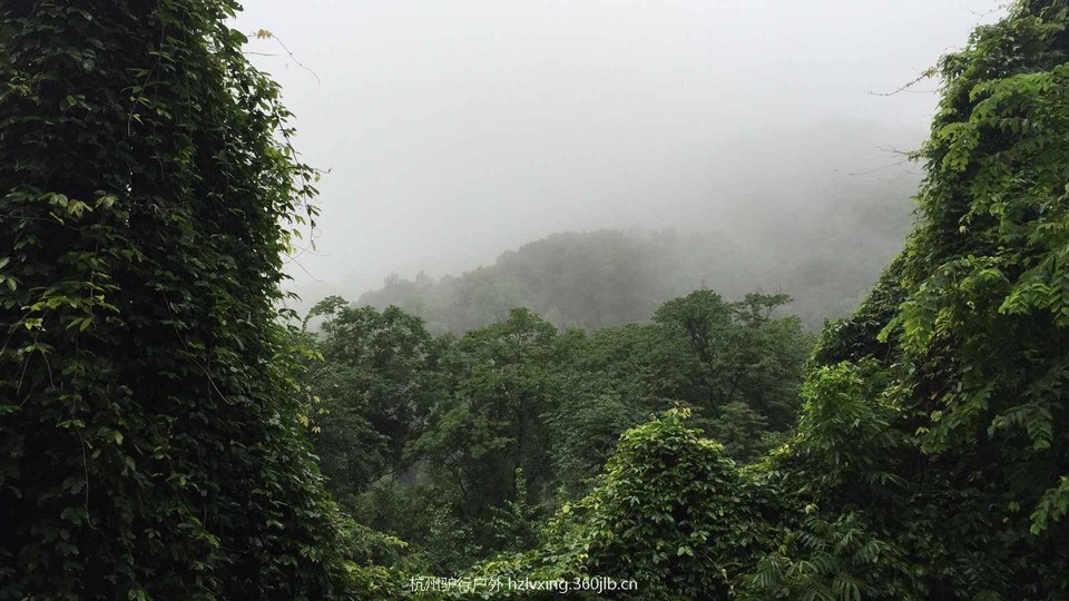 mmexport1498379684447