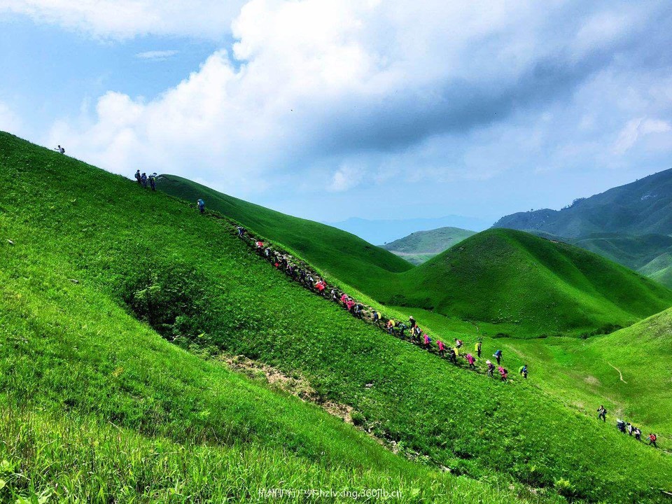 mmexport1525269044037