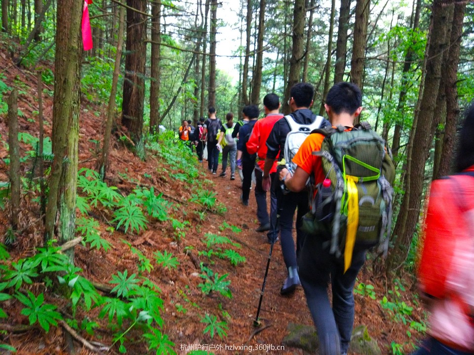 mmexport1525609386821