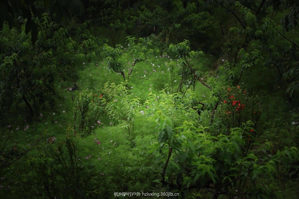 mmexport1527422992005