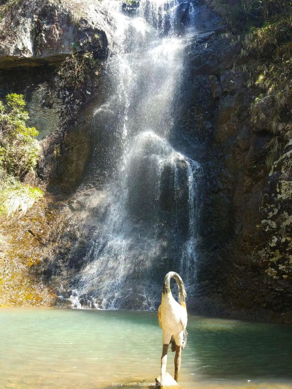 mmexport1528805493342