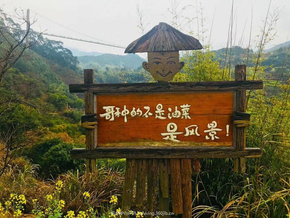 mmexport1528805721943