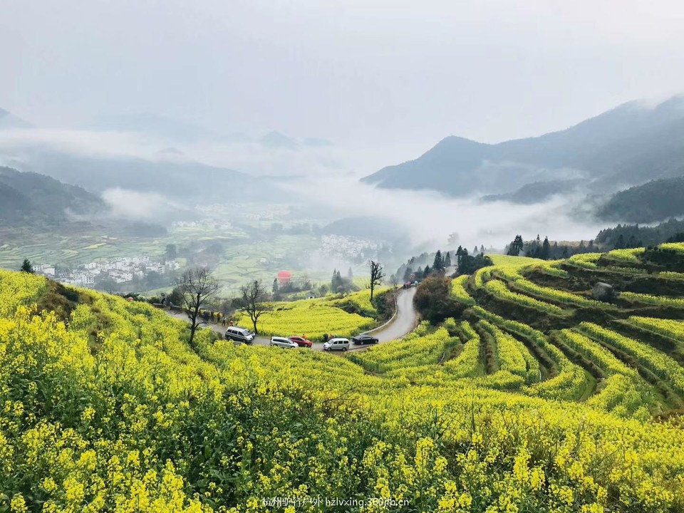 mmexport1528805729357