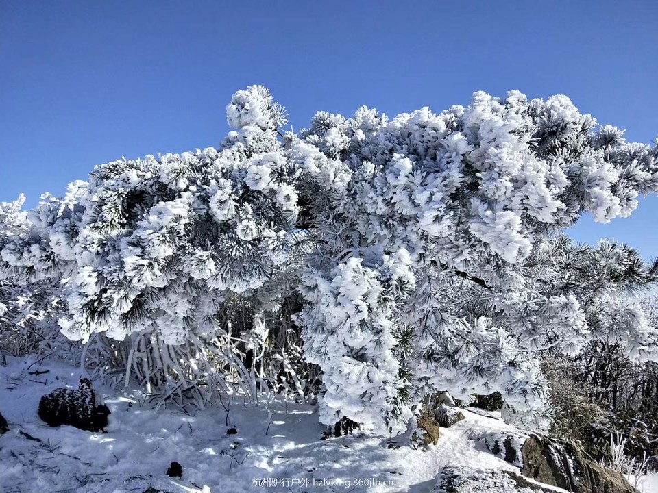 mmexport1528806162600