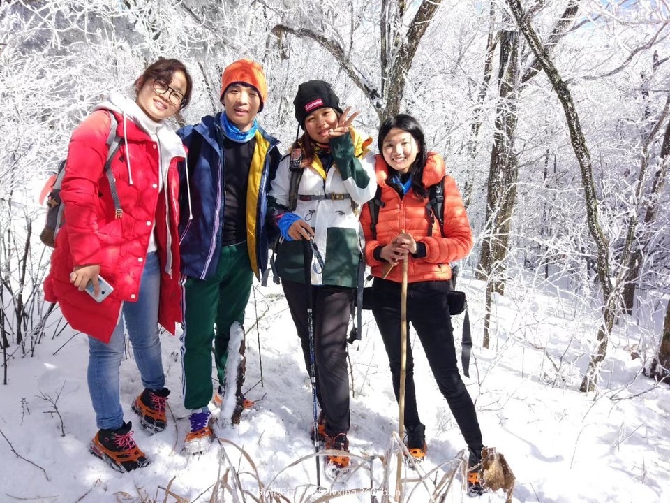 mmexport1528806166827