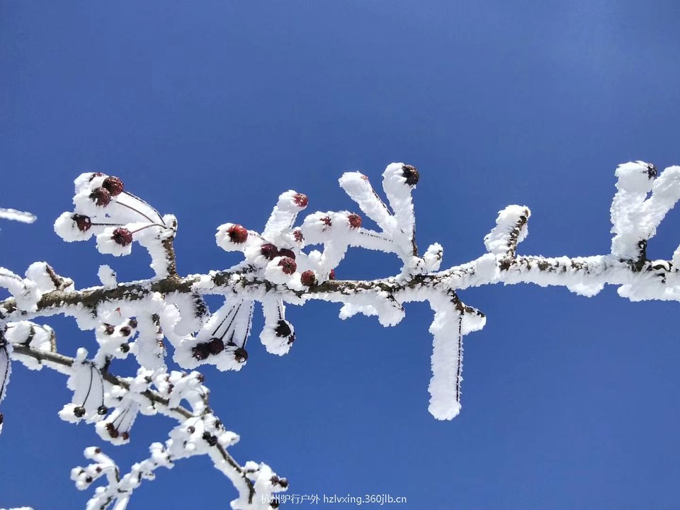 mmexport1528806169763