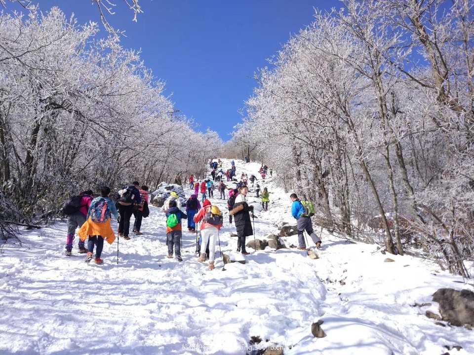 mmexport1528806176381