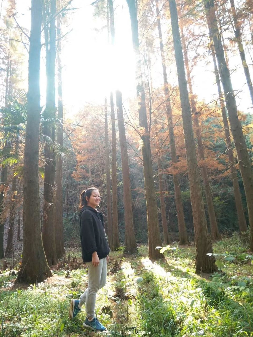 mmexport1528806345313