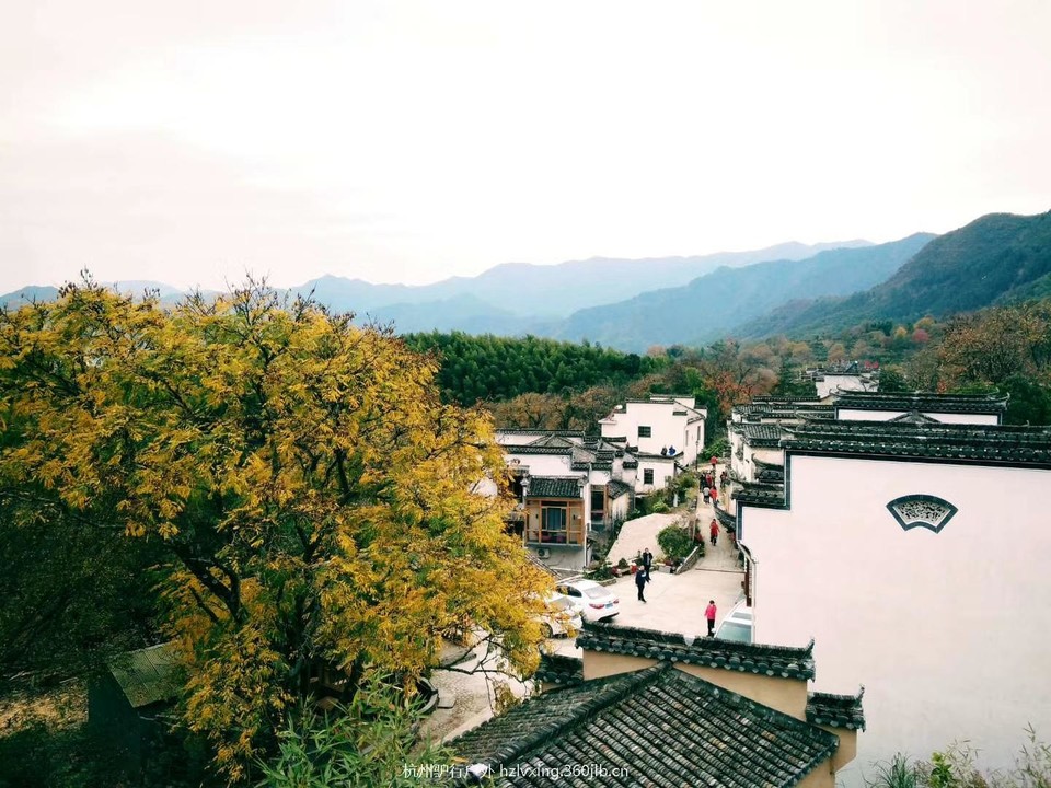 mmexport1528806459346