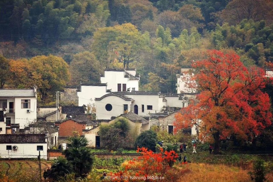 mmexport1528806469807