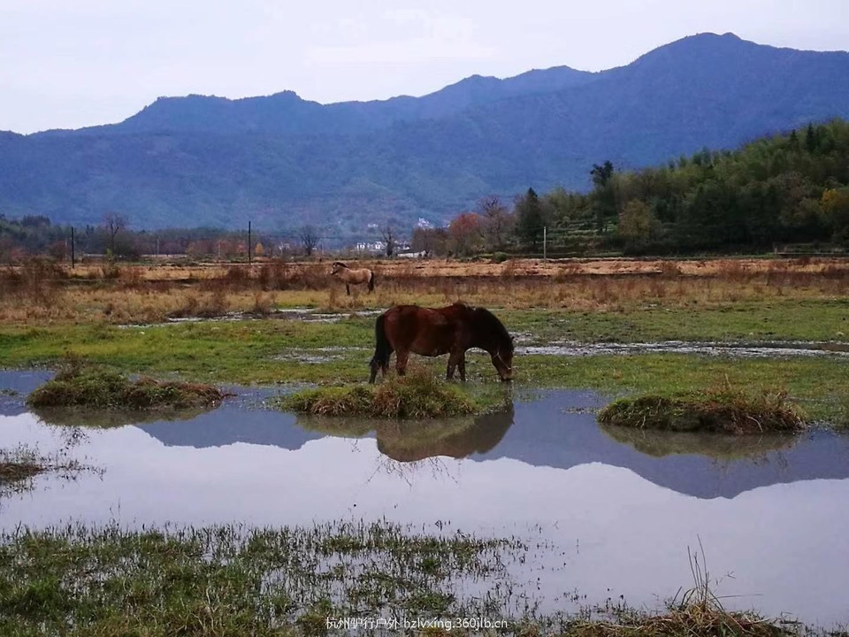 mmexport1528806473331