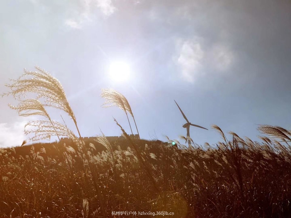 mmexport1528806694165