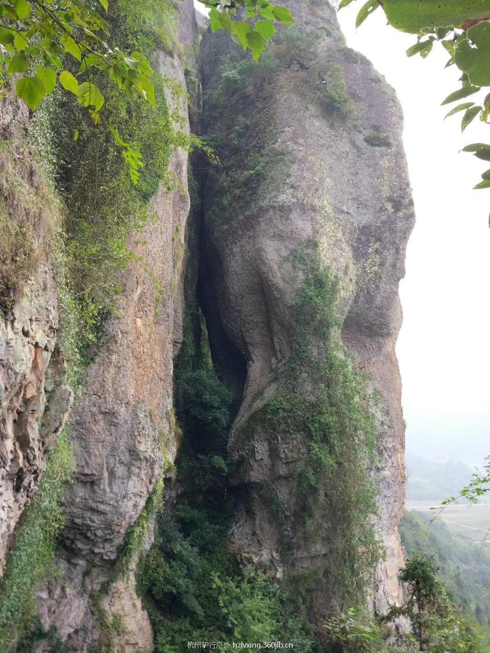 mmexport1528806817207