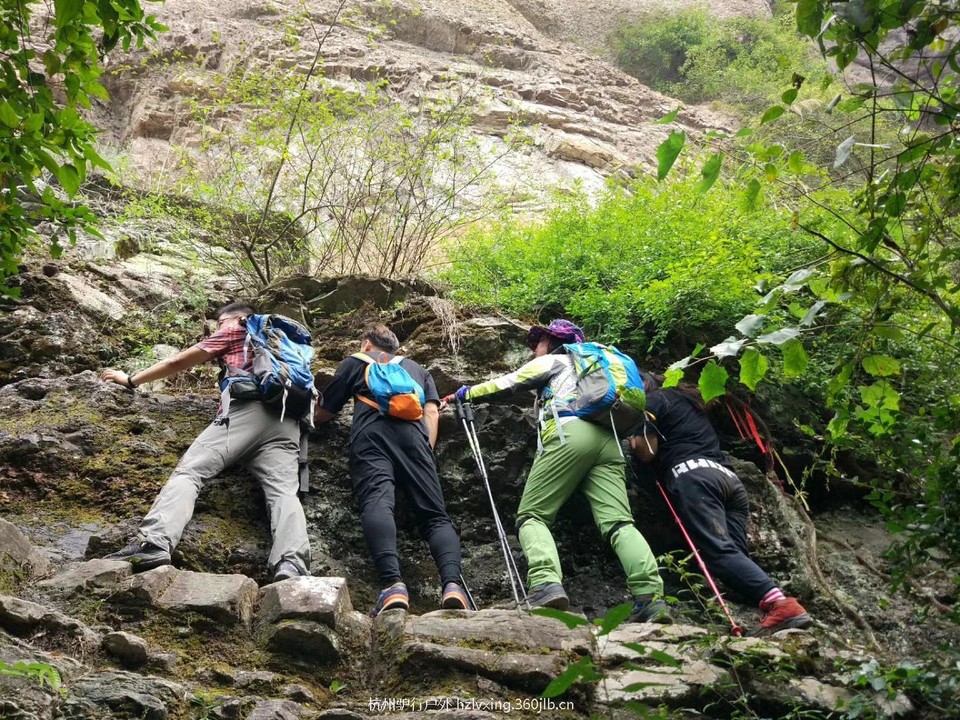 mmexport1528806823842