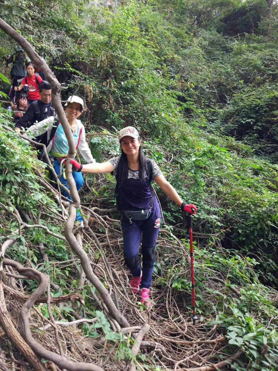 mmexport1528806835279