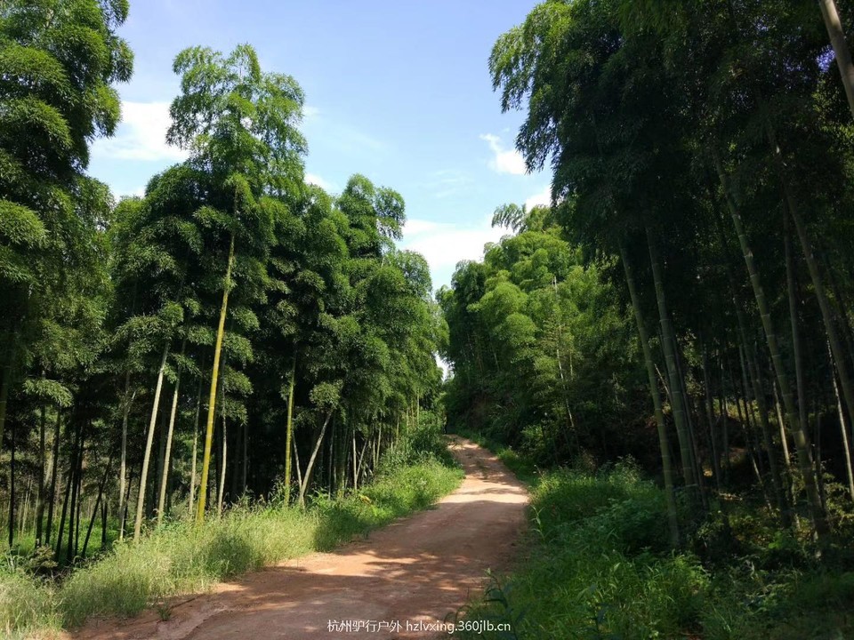 mmexport1528806987488