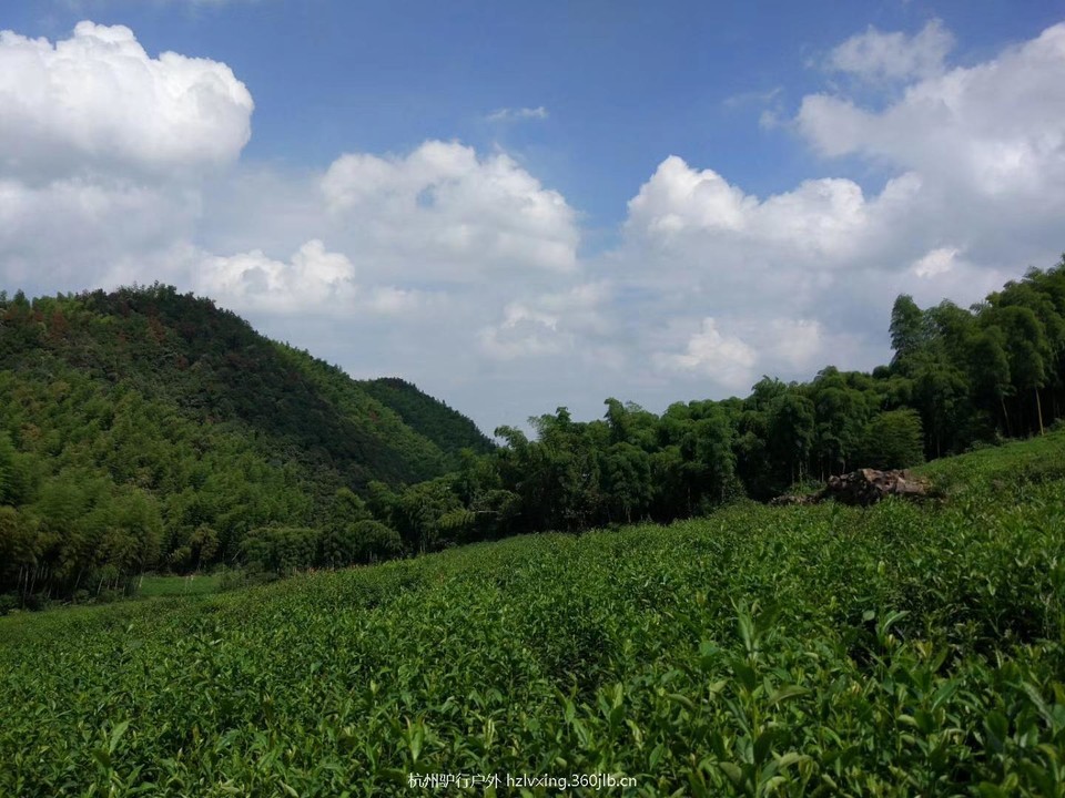 mmexport1528806995516