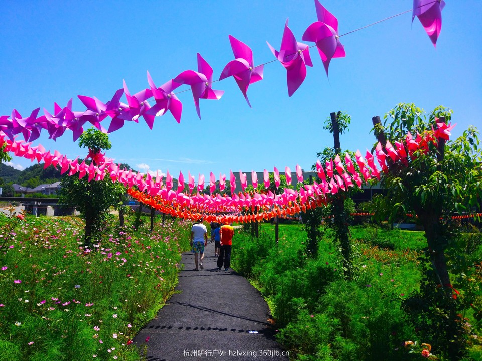 微信图片_20180811234439