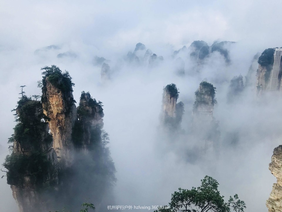 微信图片_20180811235831