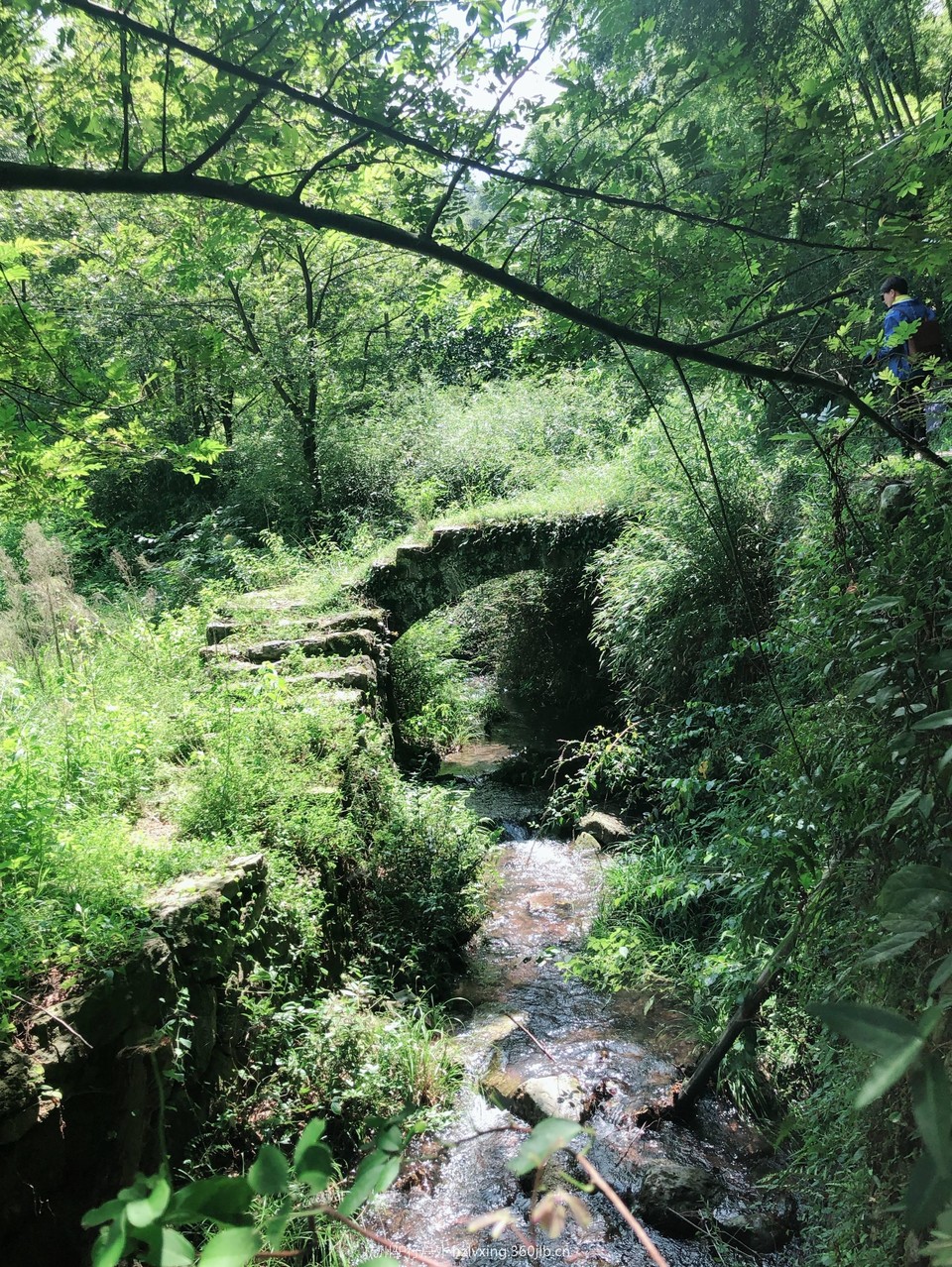 微信图片_201809061931281