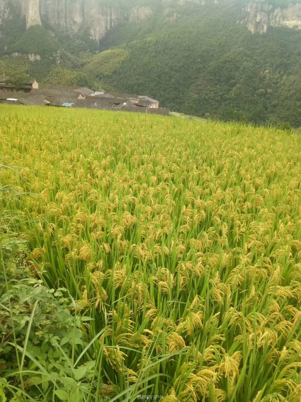 微信图片_201811061519547