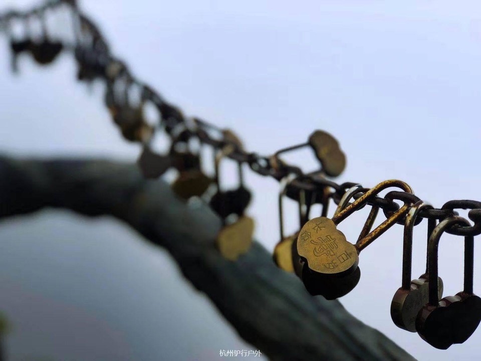 微信图片_2018110615294311